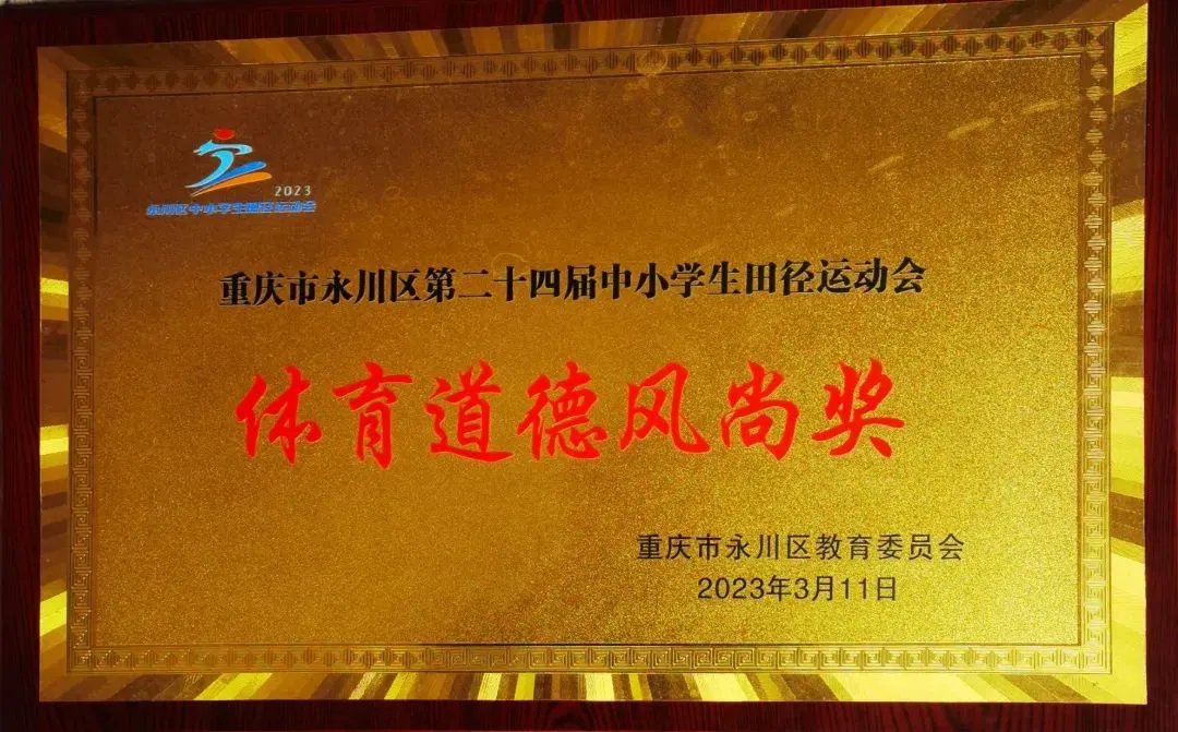哪里有适合初学者的篮球训练管理指南_1